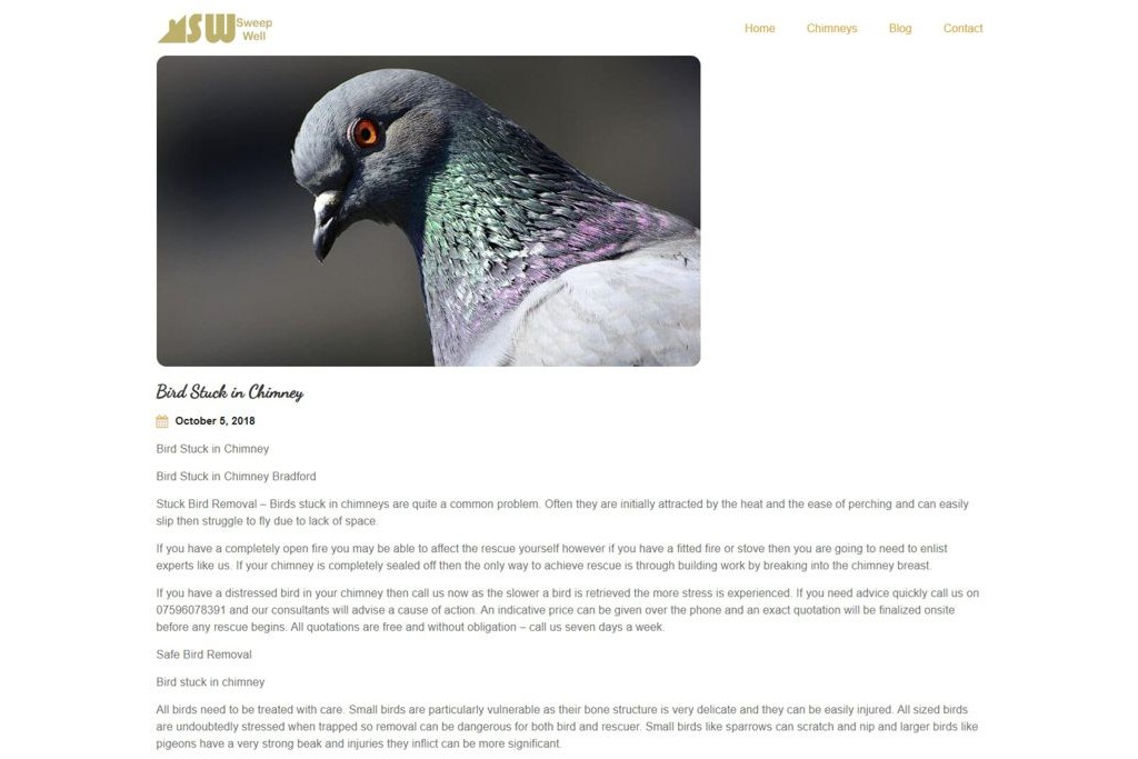 blog-page